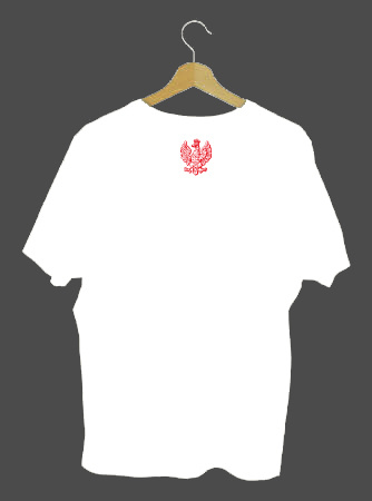 Koszulka T-shirt męska Orzeł biała